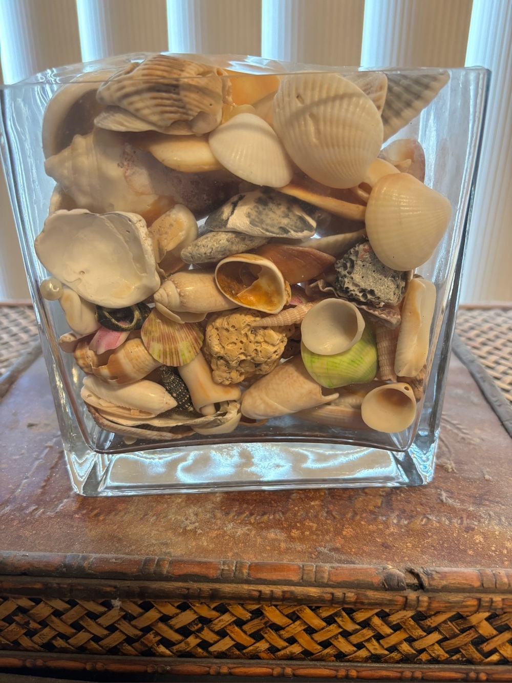 SEASHELLS IN A HEAVY GLASS SQUARE VASE EUC BEACH SHORE DECOR
